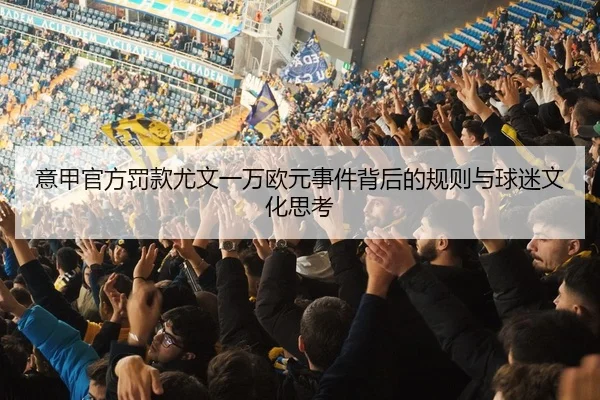 意甲官方罚款尤文一万欧元事件背后的规则与球迷文化思考